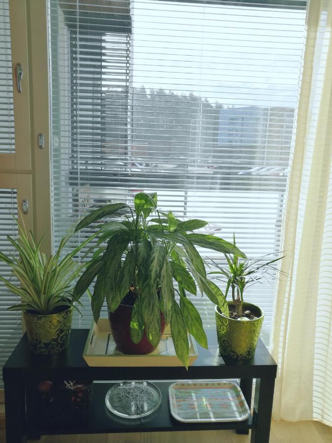 The Wildflower Apartment Turku Zewnętrze zdjęcie